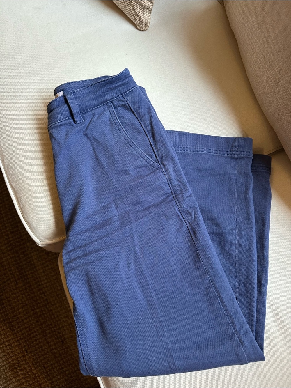 Everlane Navy Blue Denim Pants